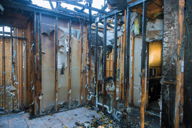 Professional Soot Cleanup technician working in Niles, OH